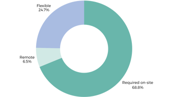 Cyber And IT Security Roles UK Working Patterns (1)