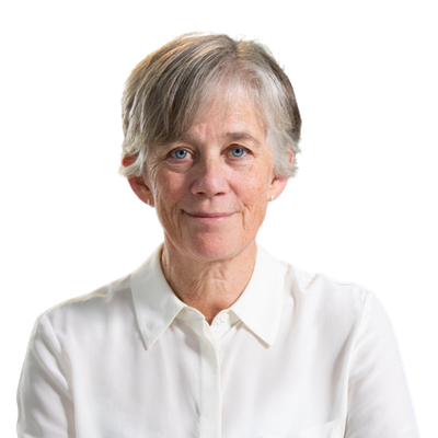 Professor Dame Angela Mclean